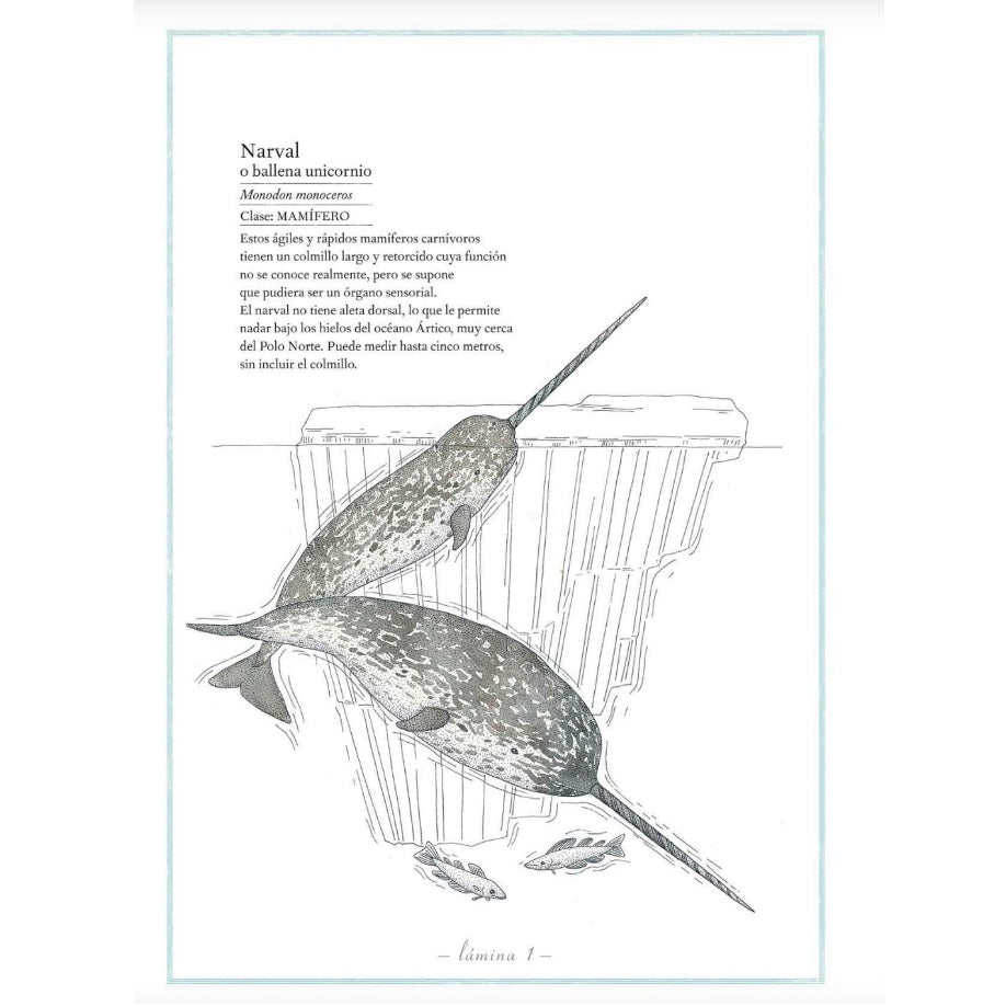 Inventario Ilustrado de los mares Inventario Ilustrado de los mares